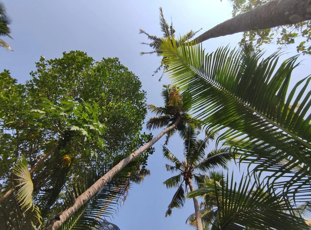 Mavila Beach Resort, Kerala'S Heritage Temple Villa 瓦尔卡拉 0*,